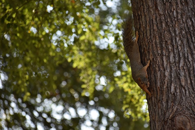 不仅是速度 不仅是速度