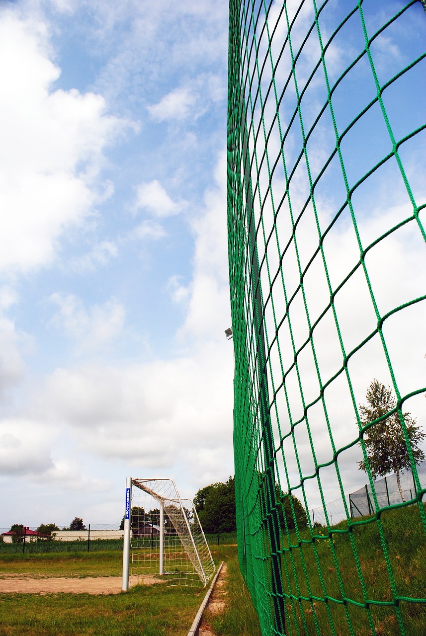 如今再到陈 如今再到陈