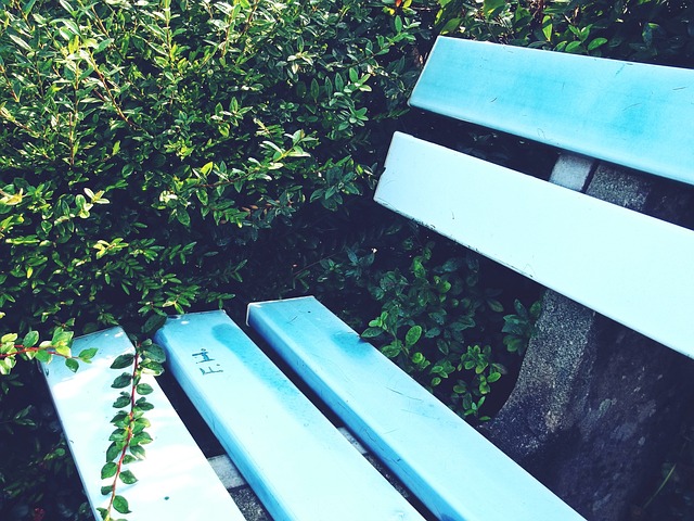 张宁尽管同 张宁尽管同