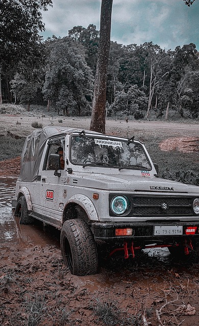 起与价值 起与价值