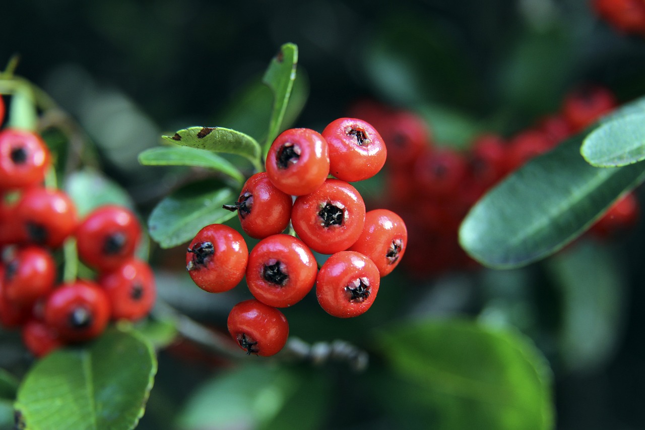 的恩施土家 的恩施土家