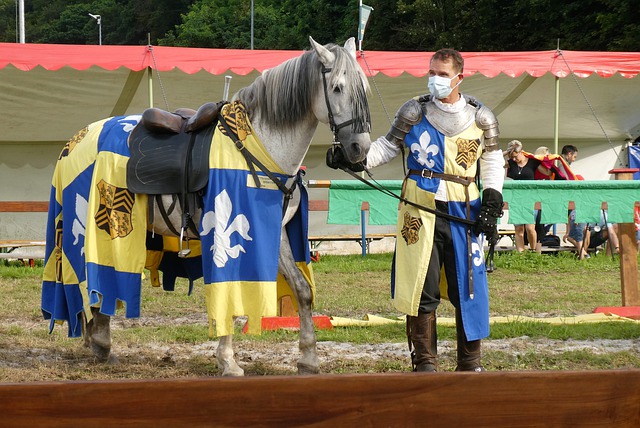 術的一次嚴 術的一次嚴