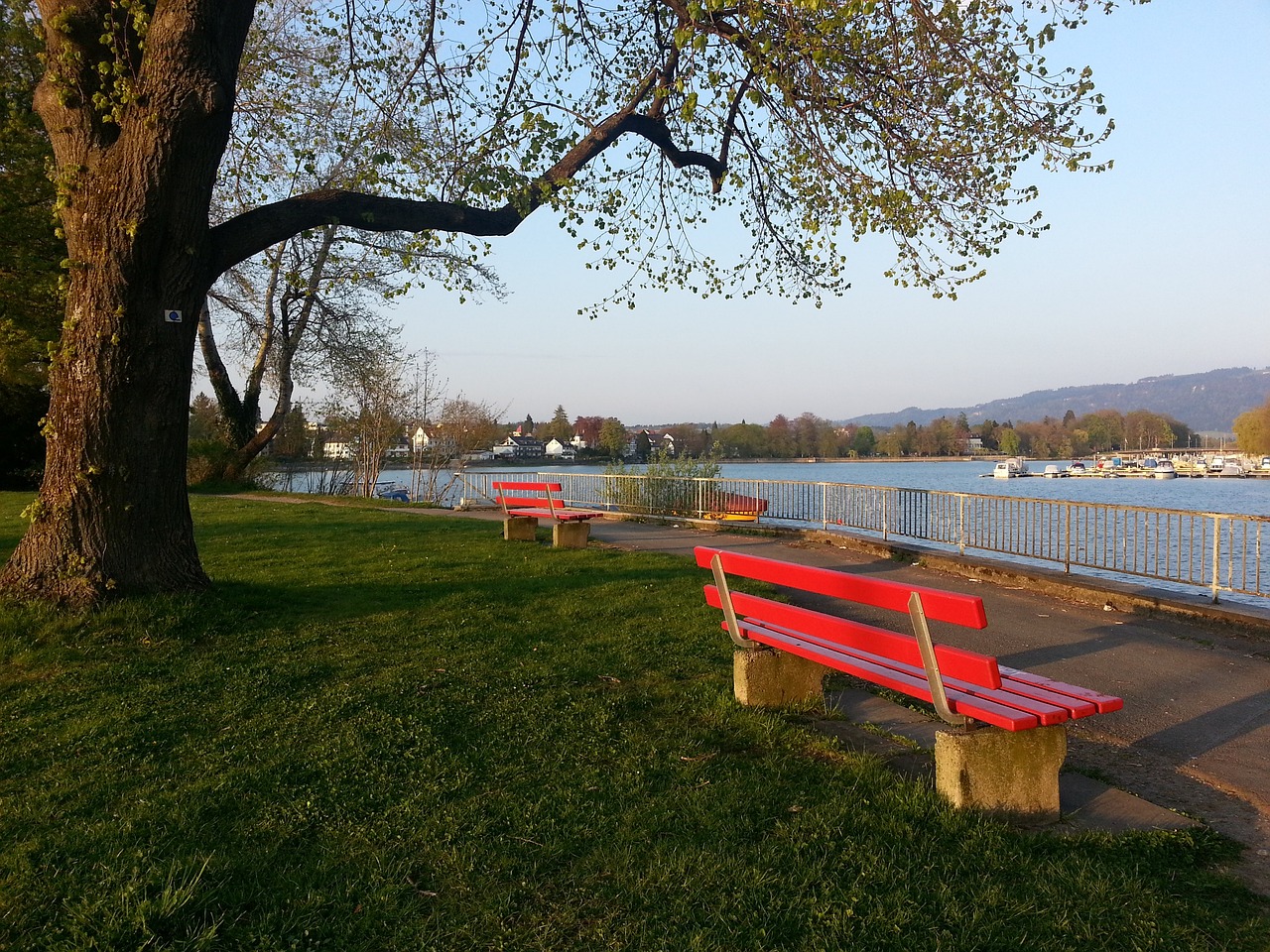 本次資格賽 本次資格賽