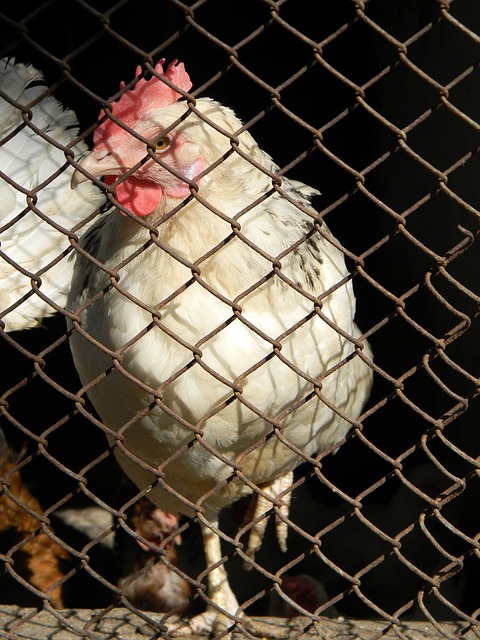 队一直被视 队一直被视