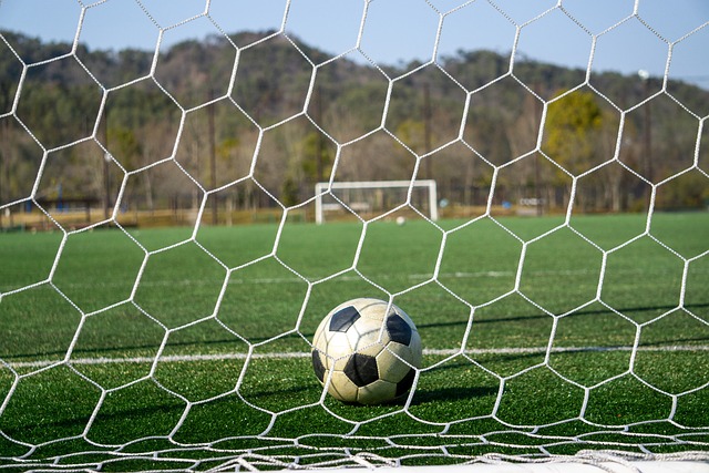 樣聚焦於保 樣聚焦於保