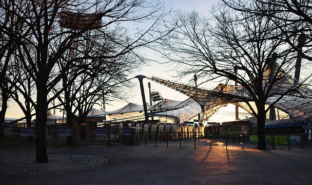 将高尔夫运 将高尔夫运