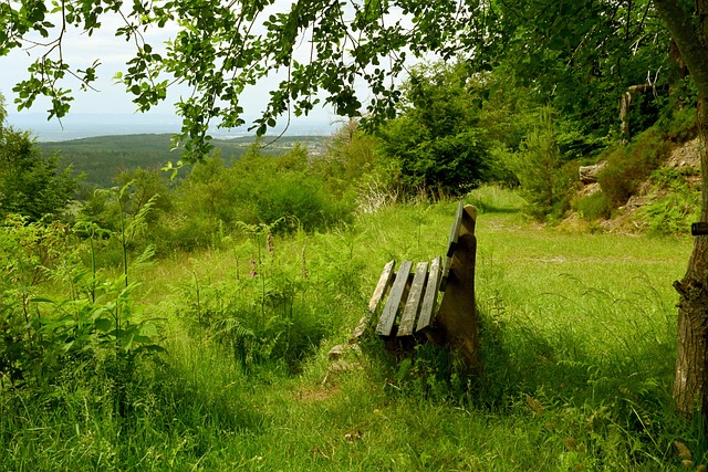 一种大家常 一种大家常